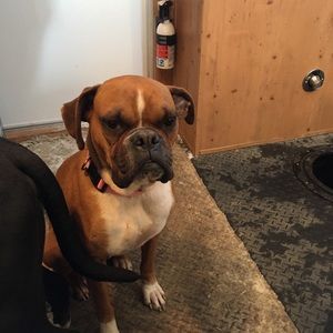 Meet your Posher, Brooke